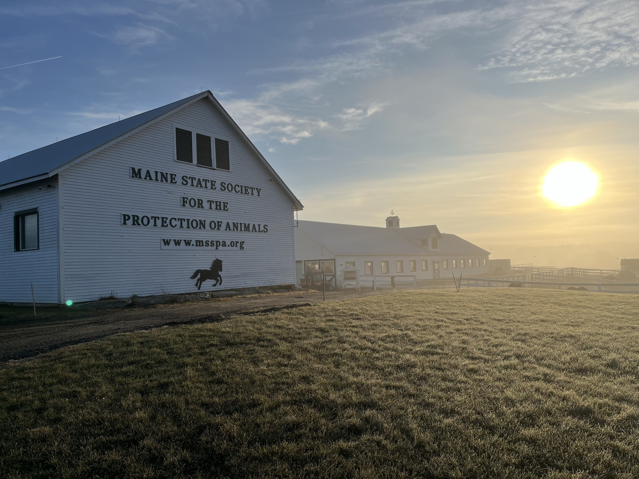 Spotlight: The Maine State Society for the Protection of Animals (MSSPA) in Windham, Maine