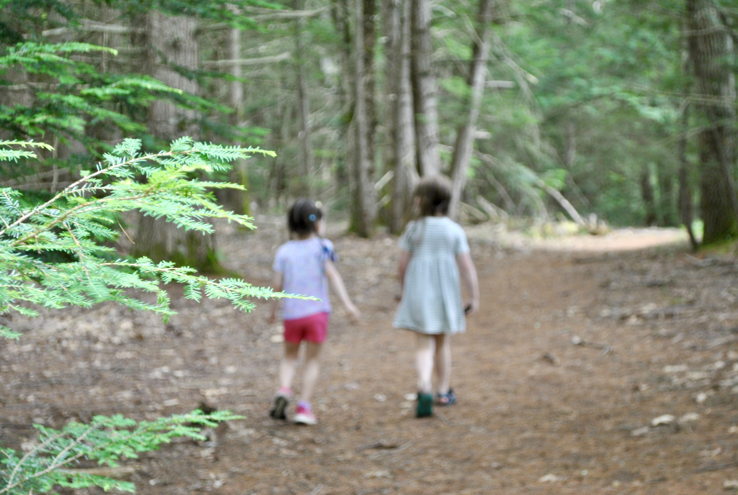 Trails Under One Mile | Easy Loops for Toddlers & Preschoolers Near Sebago Lake