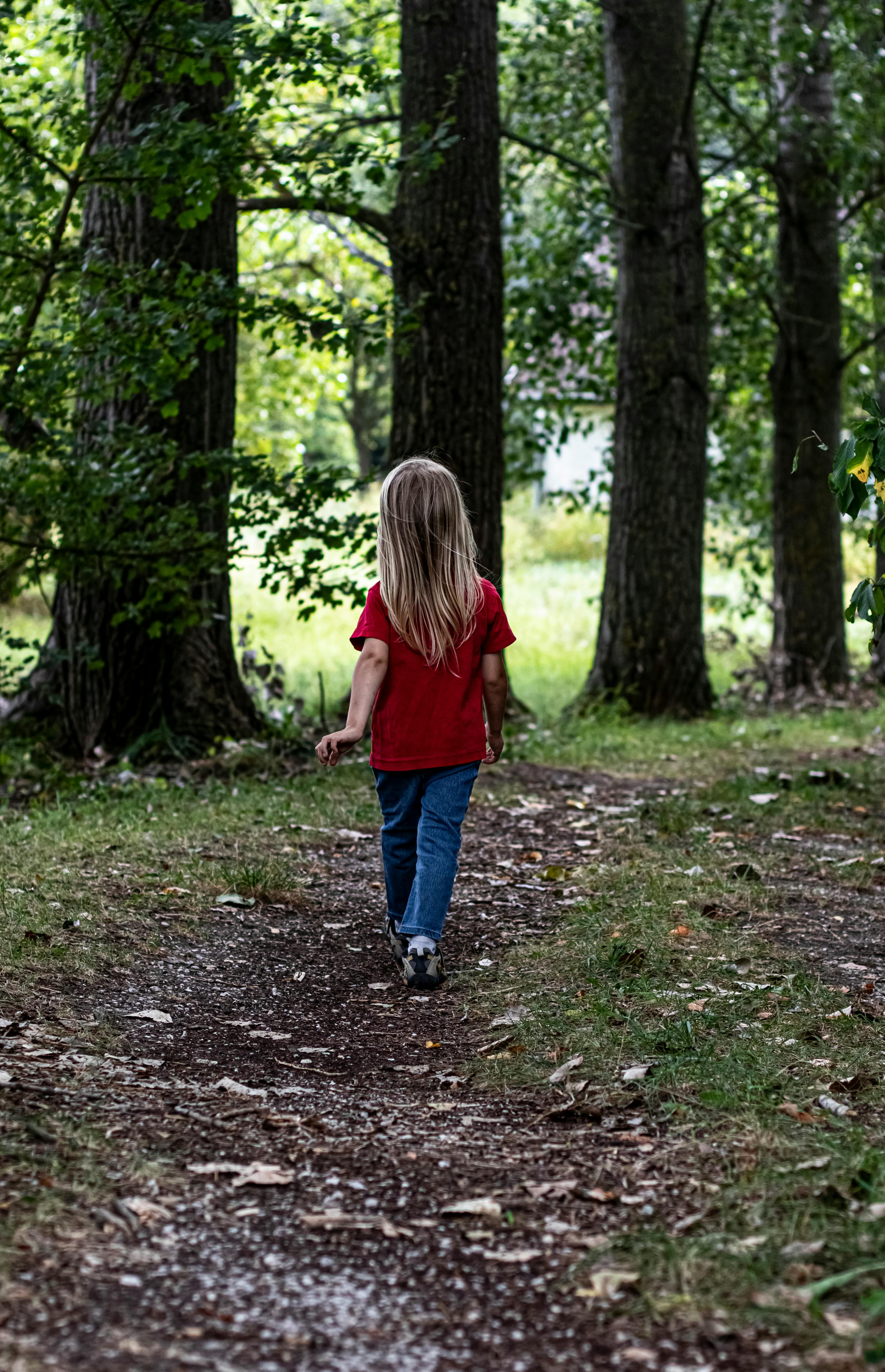 Trails Under 1.5 Miles | Easy Loops for Young Hikers Near Sebago Lake