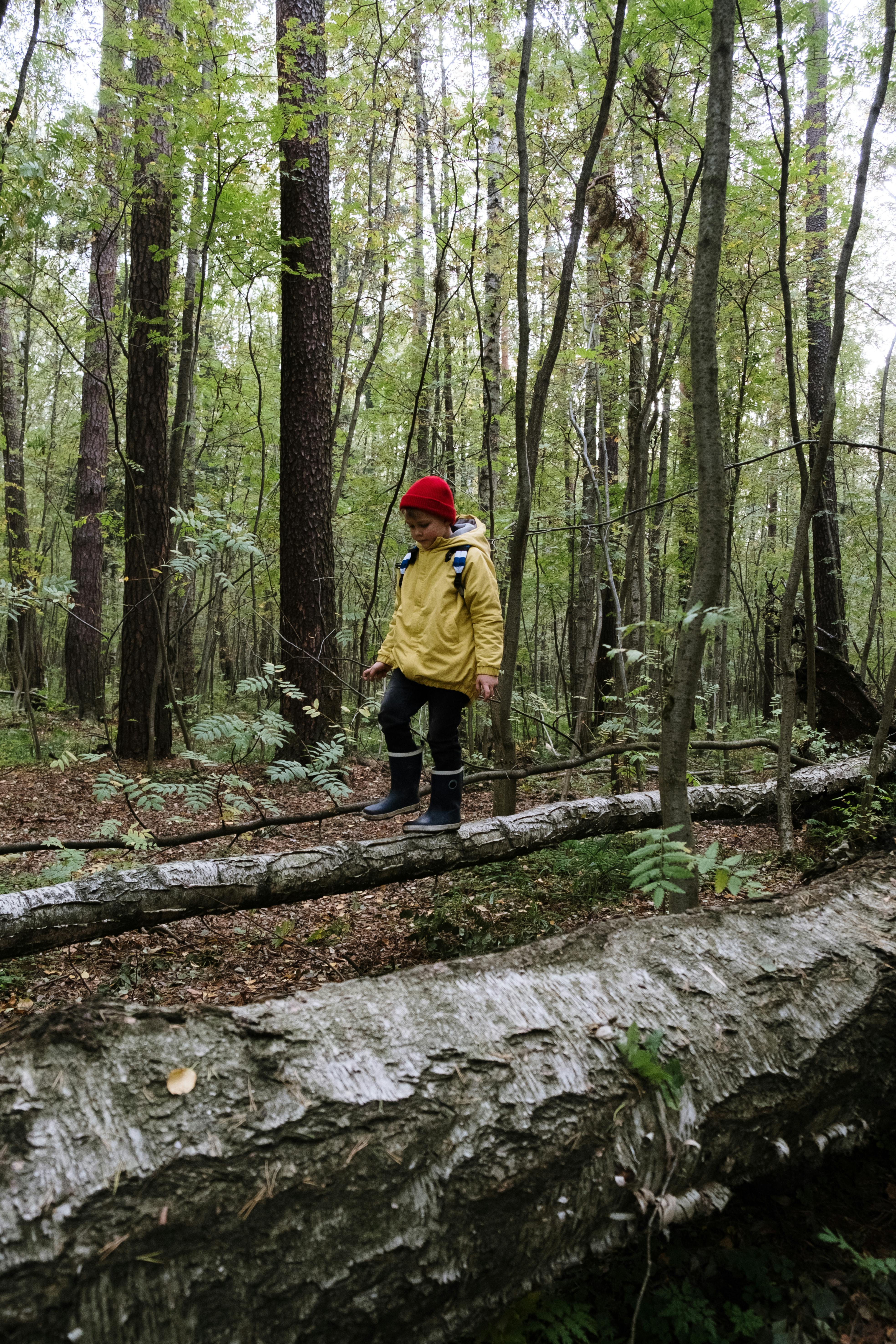 Parent Approved: What to Pack for Longer Hikes With (or Without) Kids