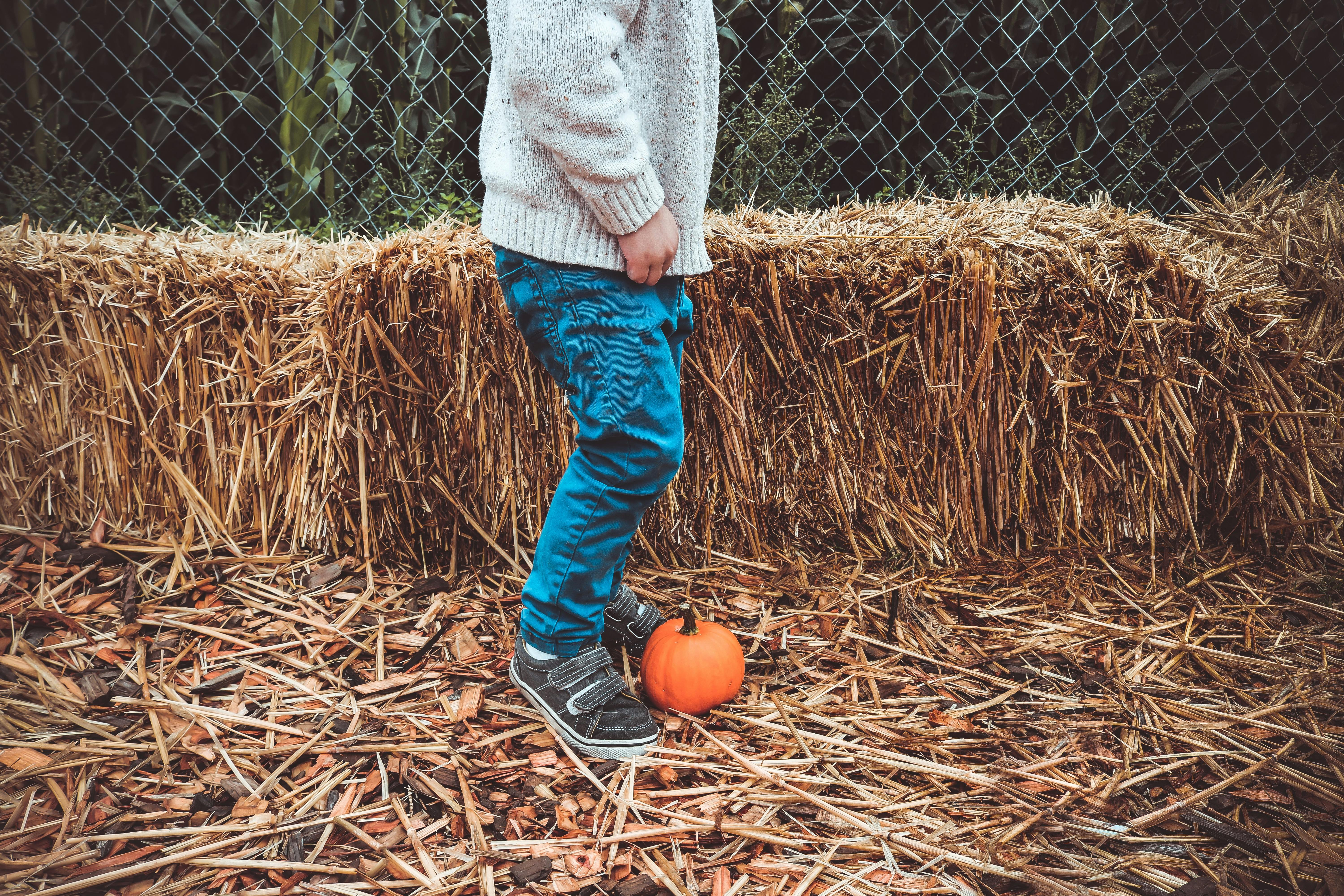 Featured: Fall Festivals and Fairs Around Sebago Lake