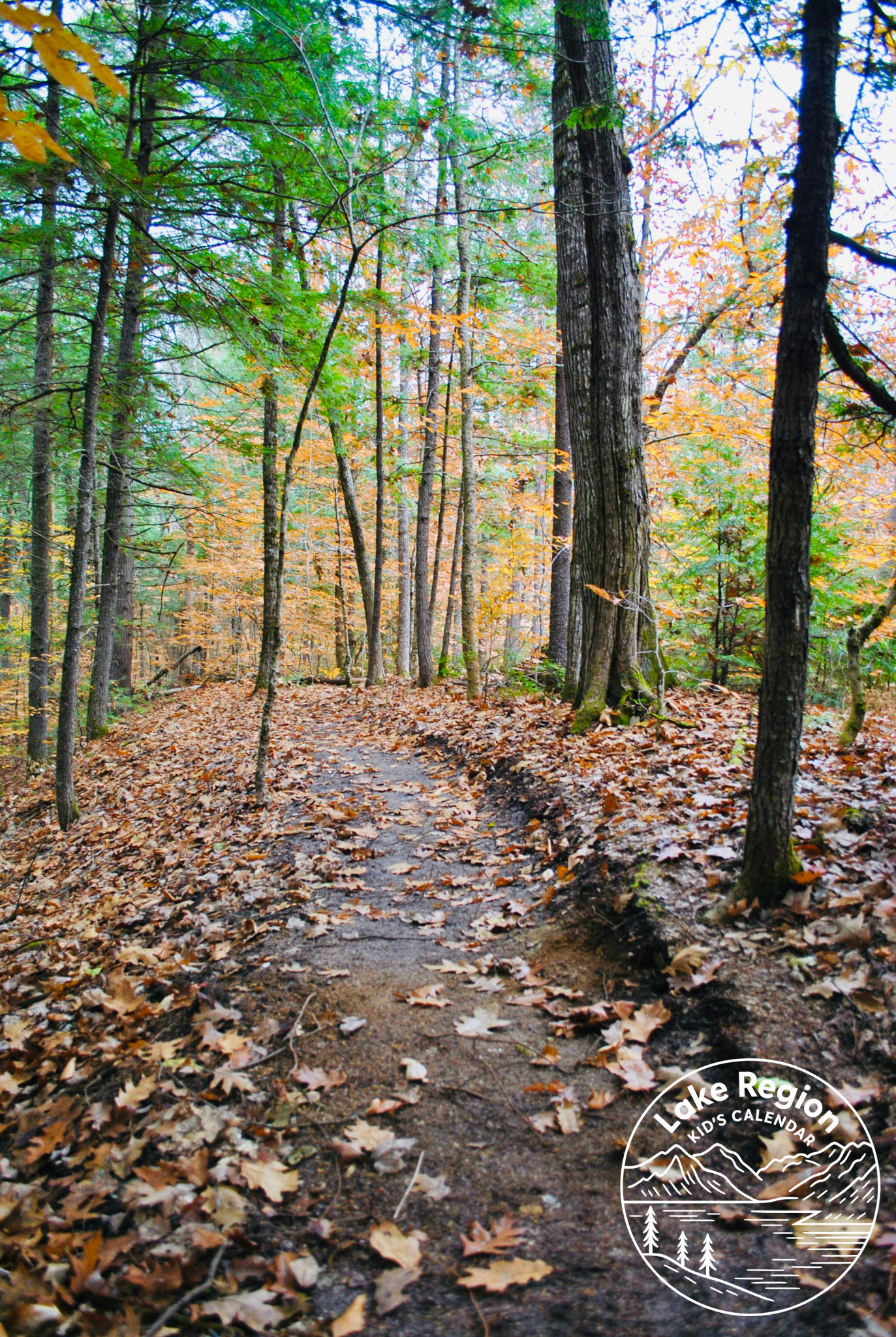 Best Family-Friendly Trails in Naples, Maine