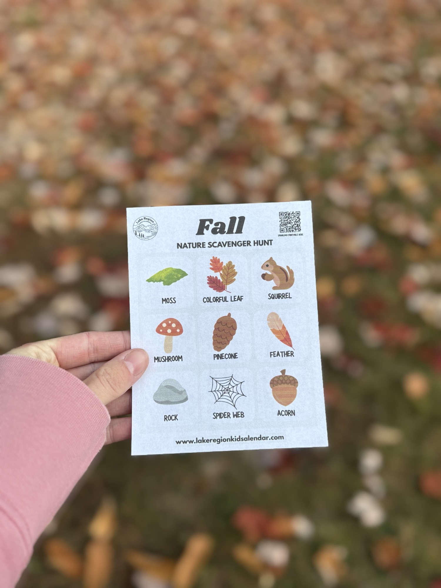 Free Printable: Fall Nature Scavenger Hunt