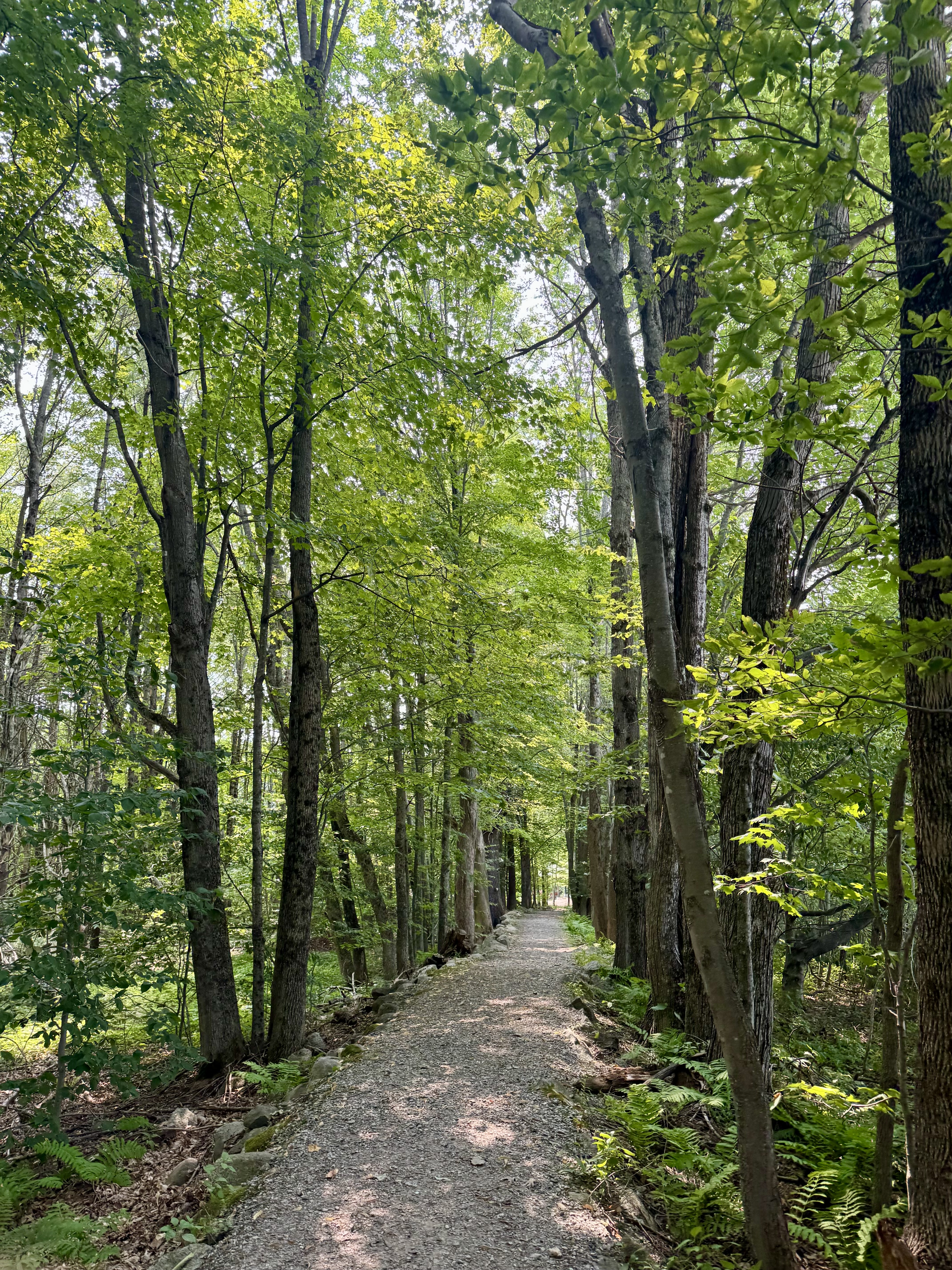 Family-Friendly Trails in Raymond, Maine