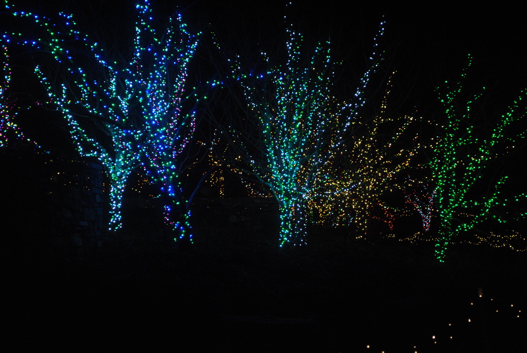 Maine’s Most Magical Holiday Light Walks & Drive-Throughs (2025)