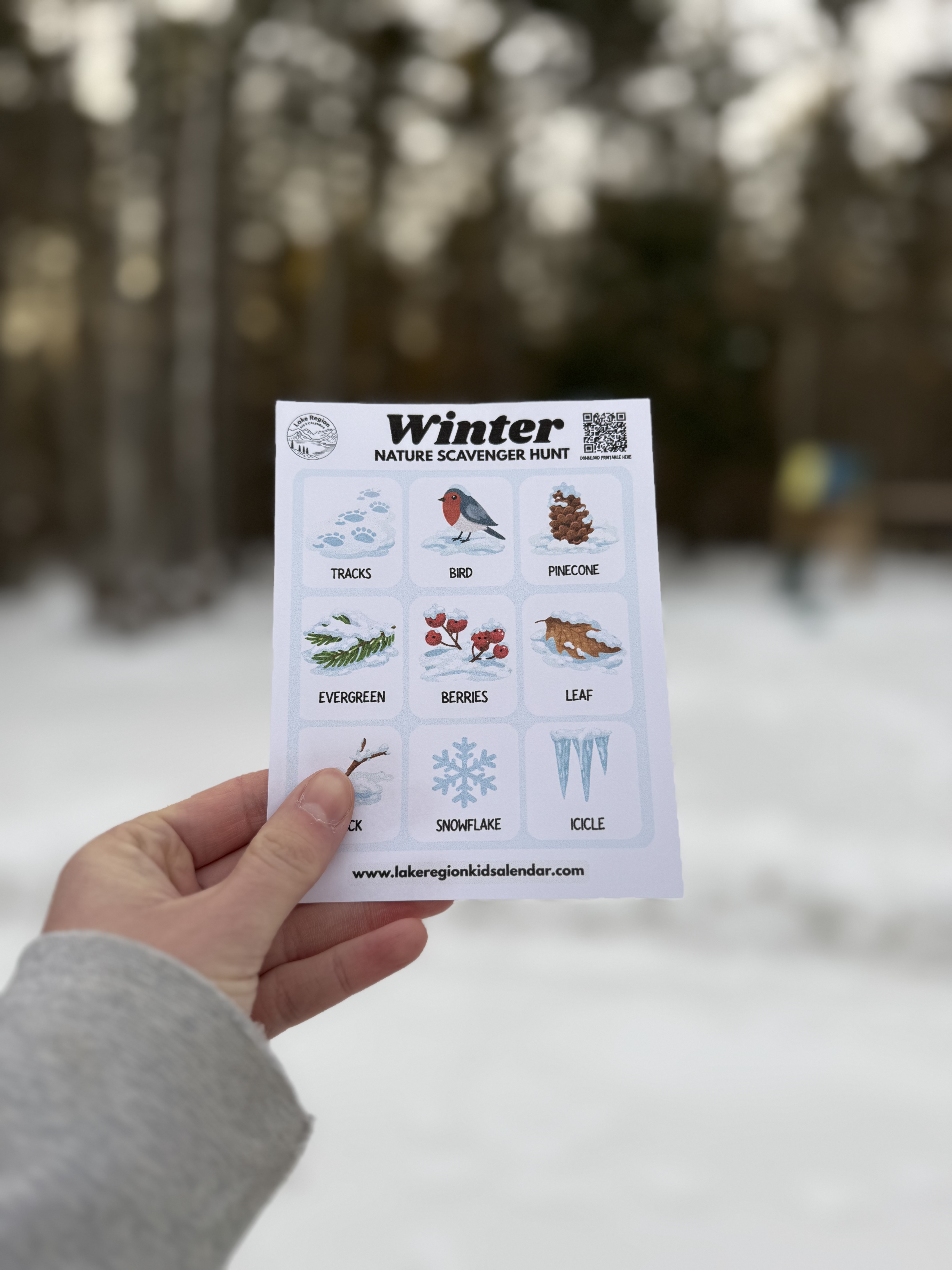 Winter Nature Scavenger Hunt (Free Printable) – Subscriber Exclusive