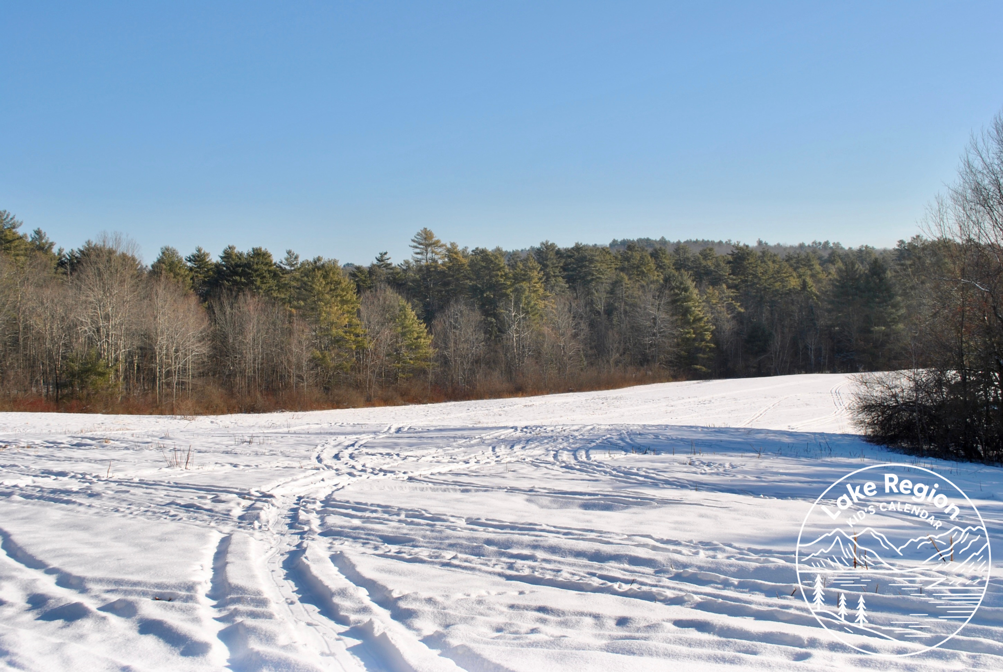 Black Brook Preserve in Winter: A Family-Friendly Trail in Windham, ME
