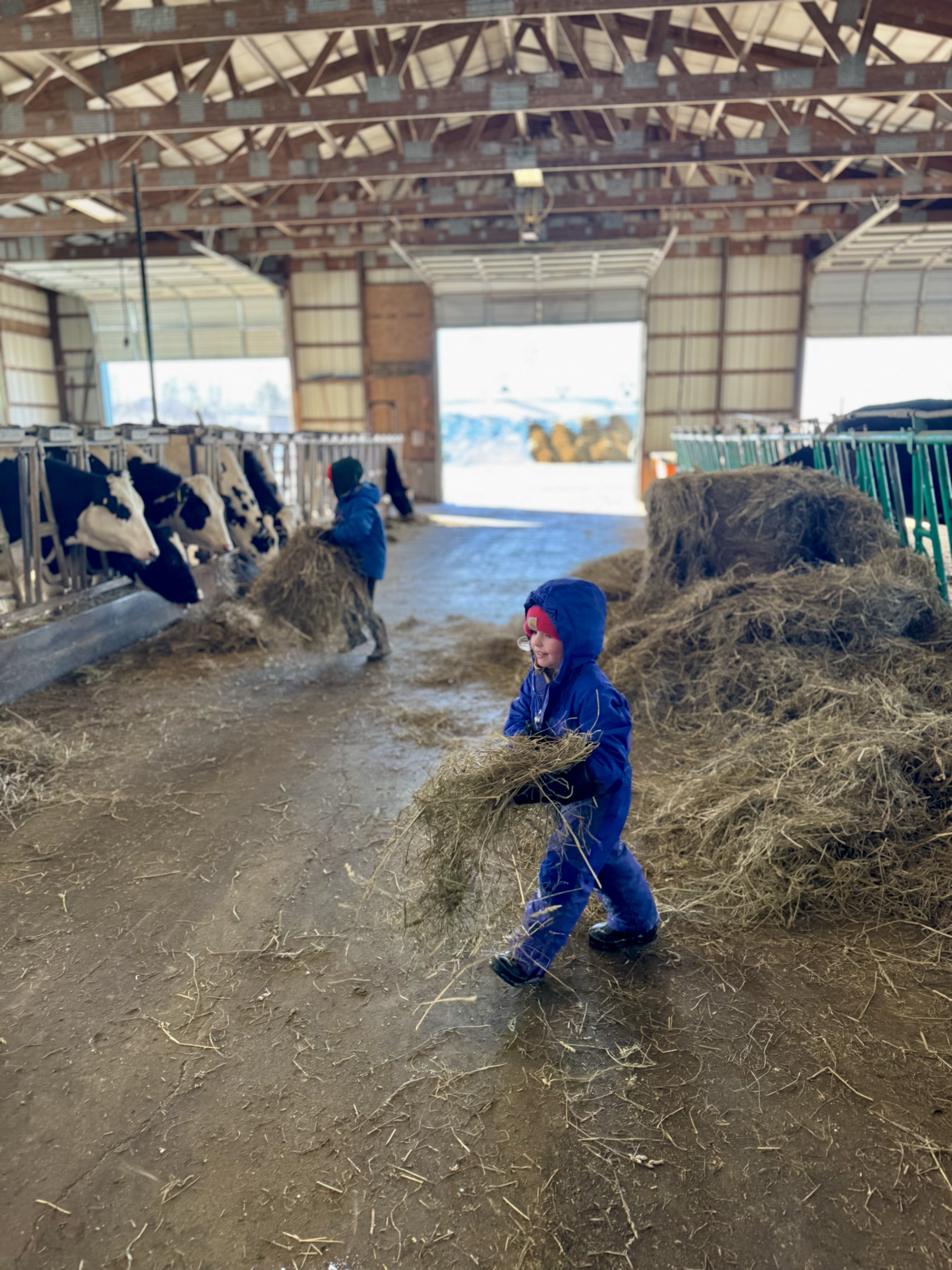 Martin Luther King Jr. Day Activities for Kids in Maine (2026 No School Day Guide)