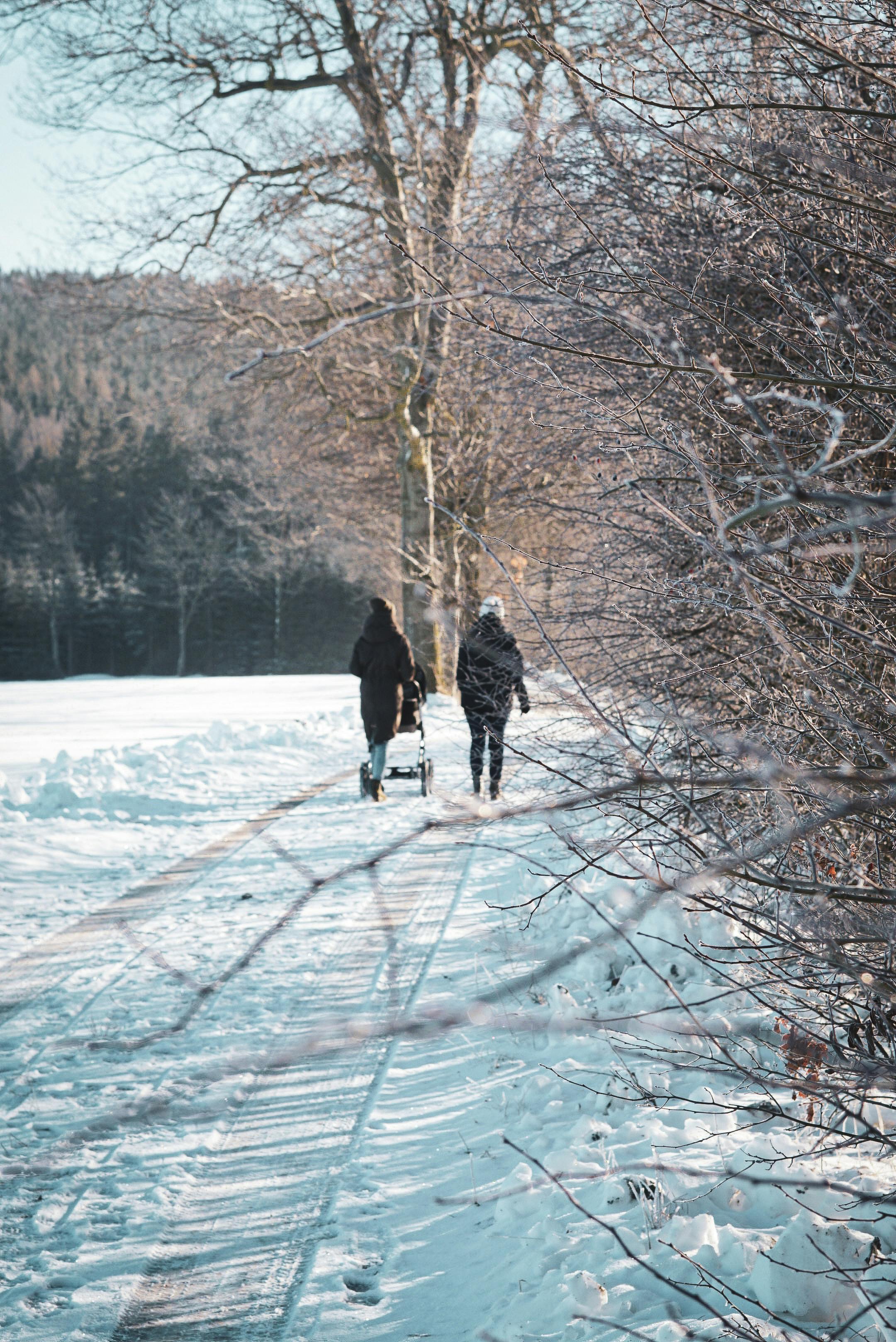 Winter Stroller Walks Near Sebago Lake: Snow-Cleared Paths for Easy Fresh Air
