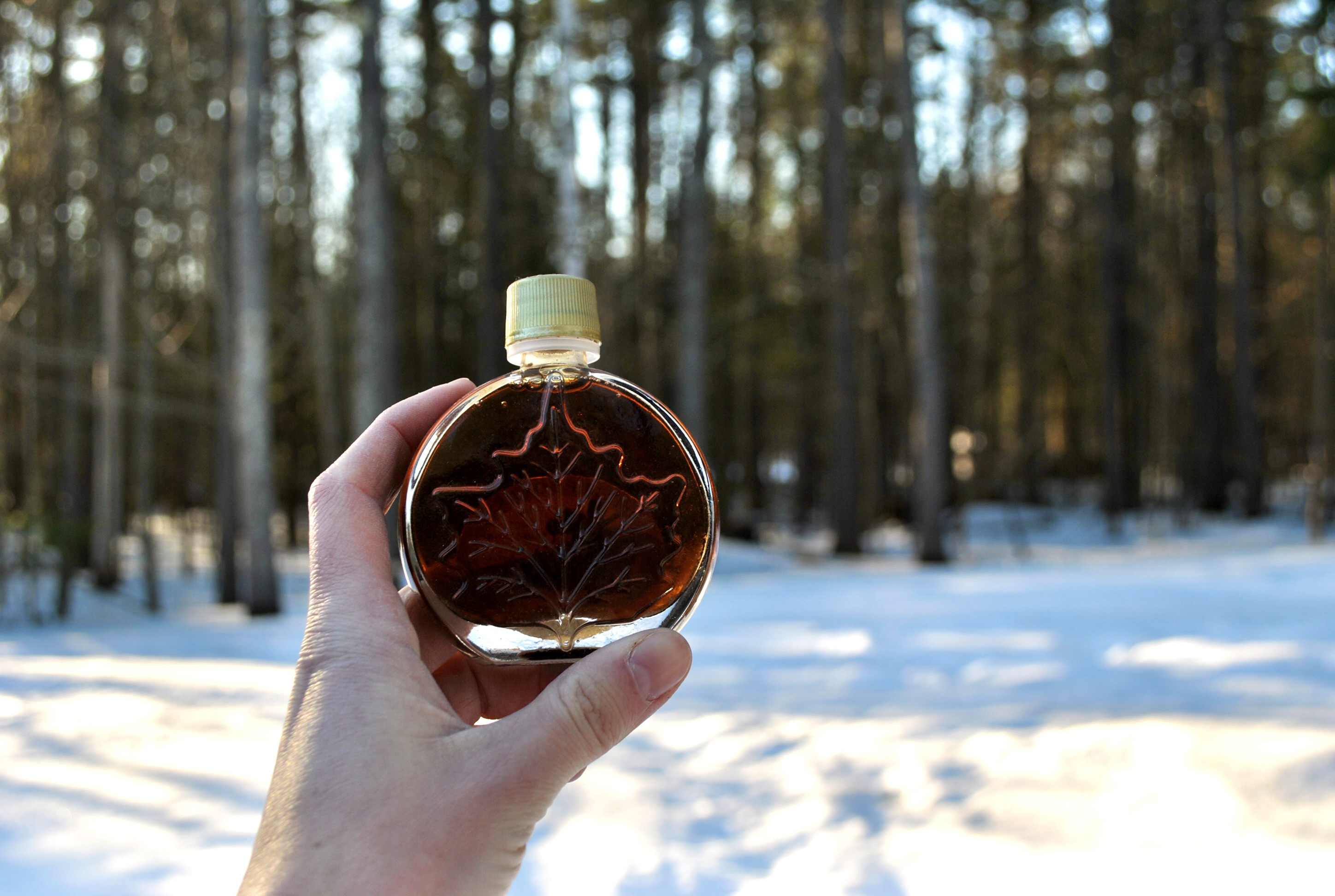 2026 Maine Maple Weekend | Presented by Sampson Lawn Care LLC