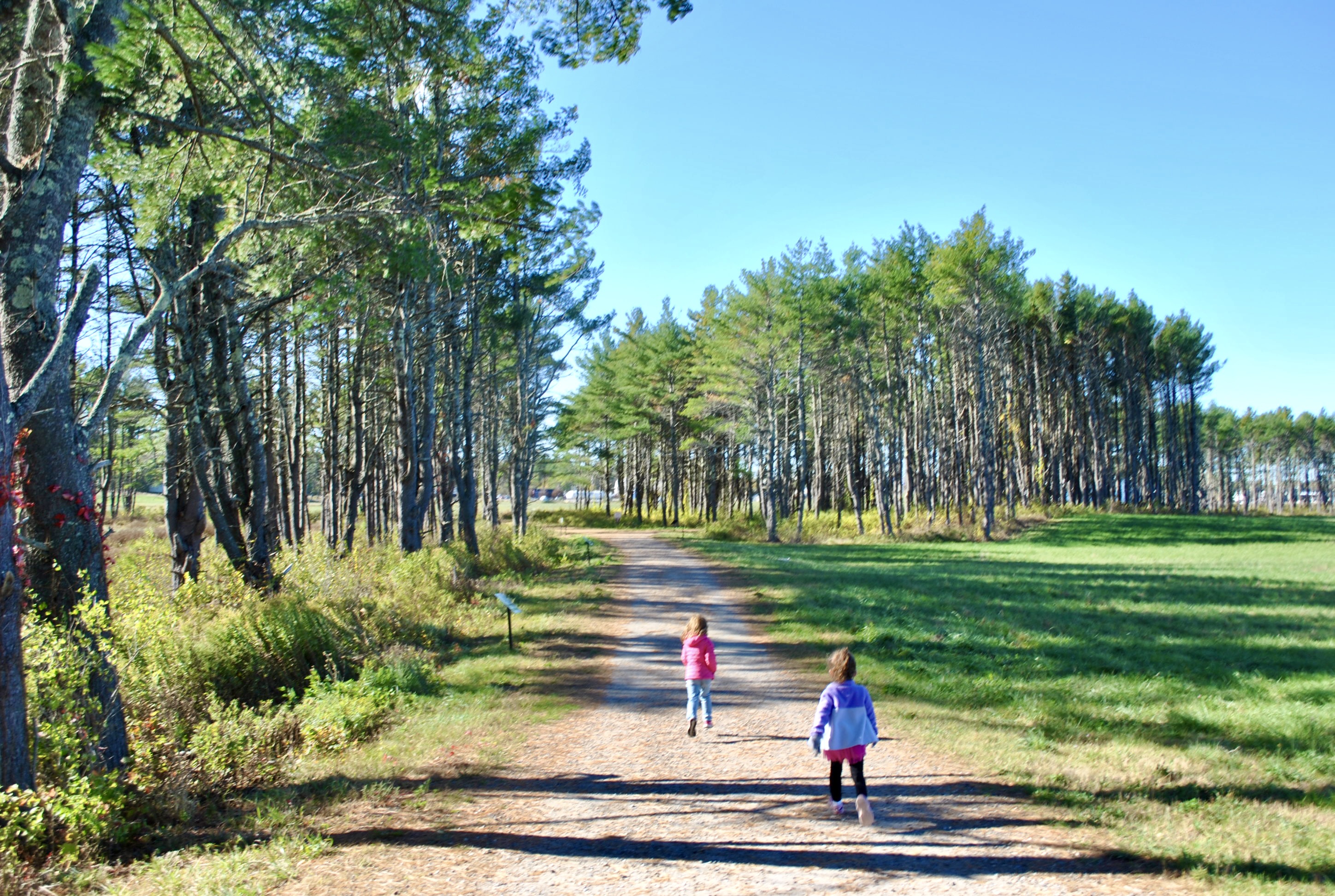 Mud Season Friendly Trails Near Sebago Lake