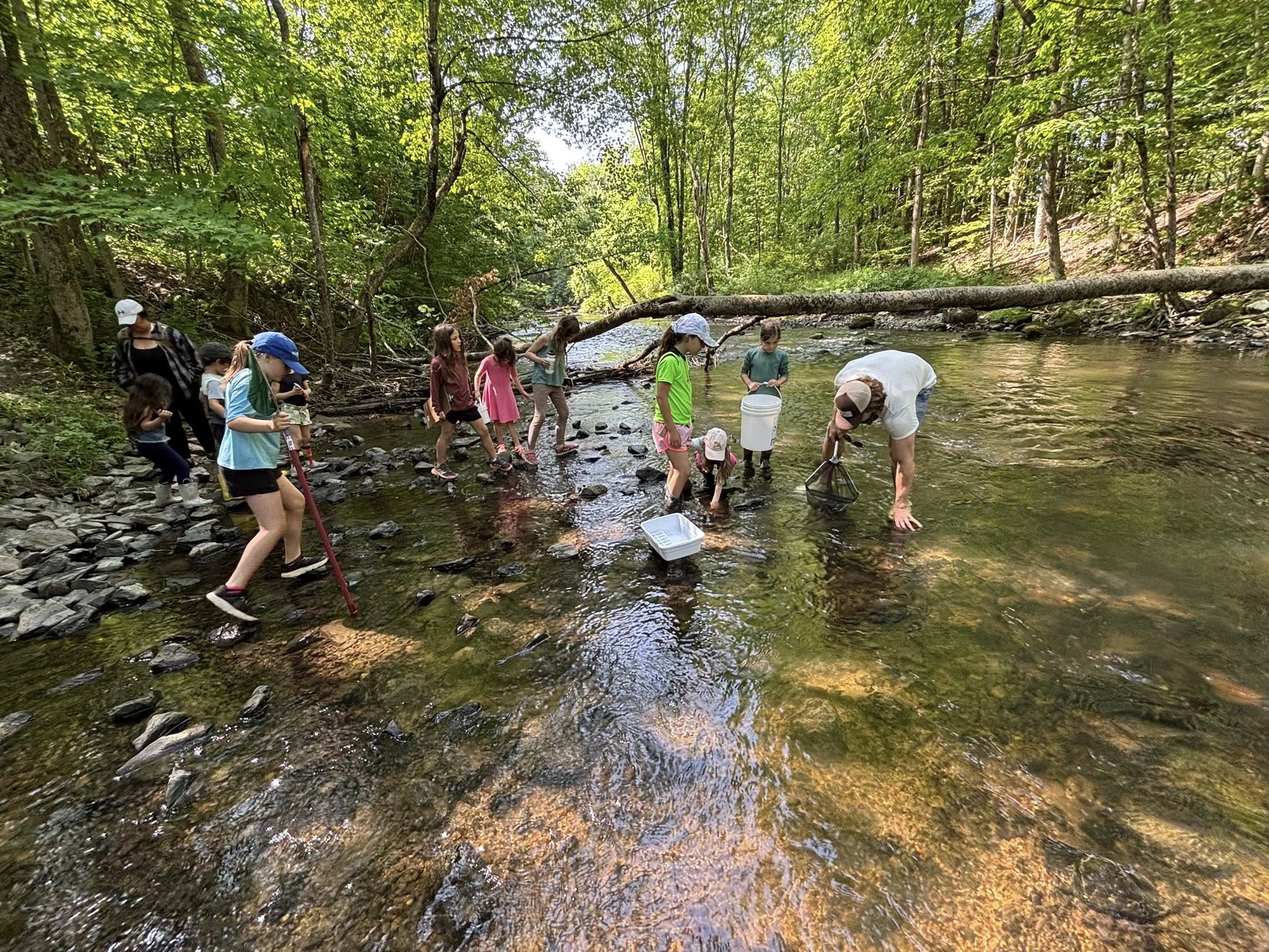 Outdoor STEM Learning in Southern Maine: EcoSTEM Adventures