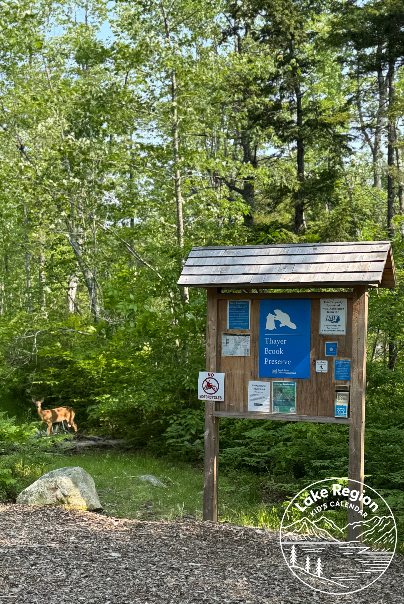 Thayer Brook Preserve – Gray, ME