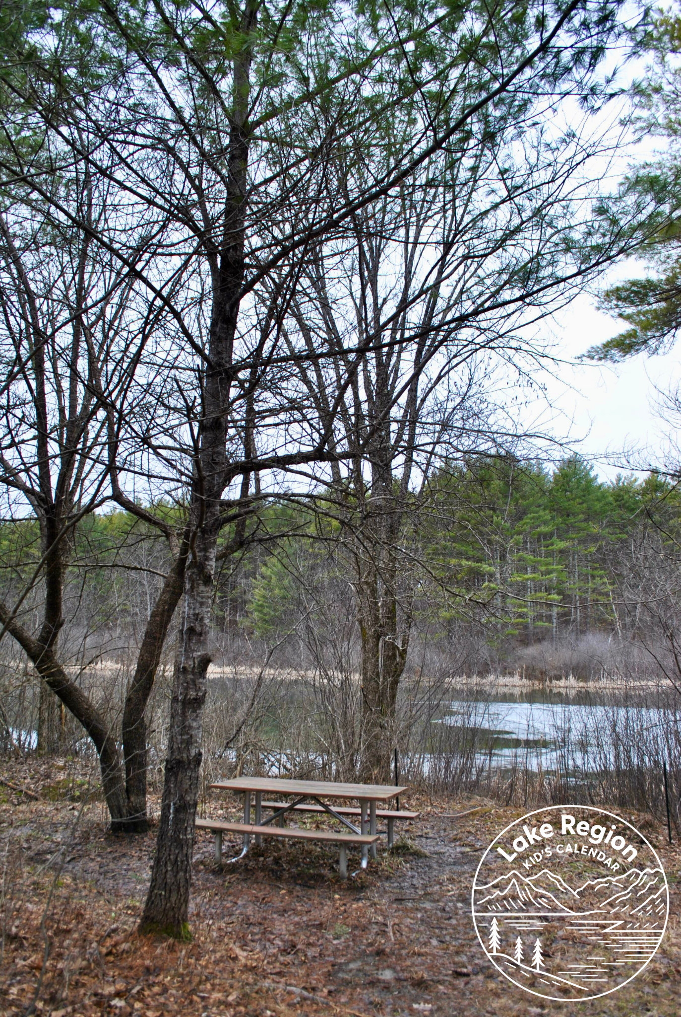 Tannery Brook Preserve – Gorham, ME