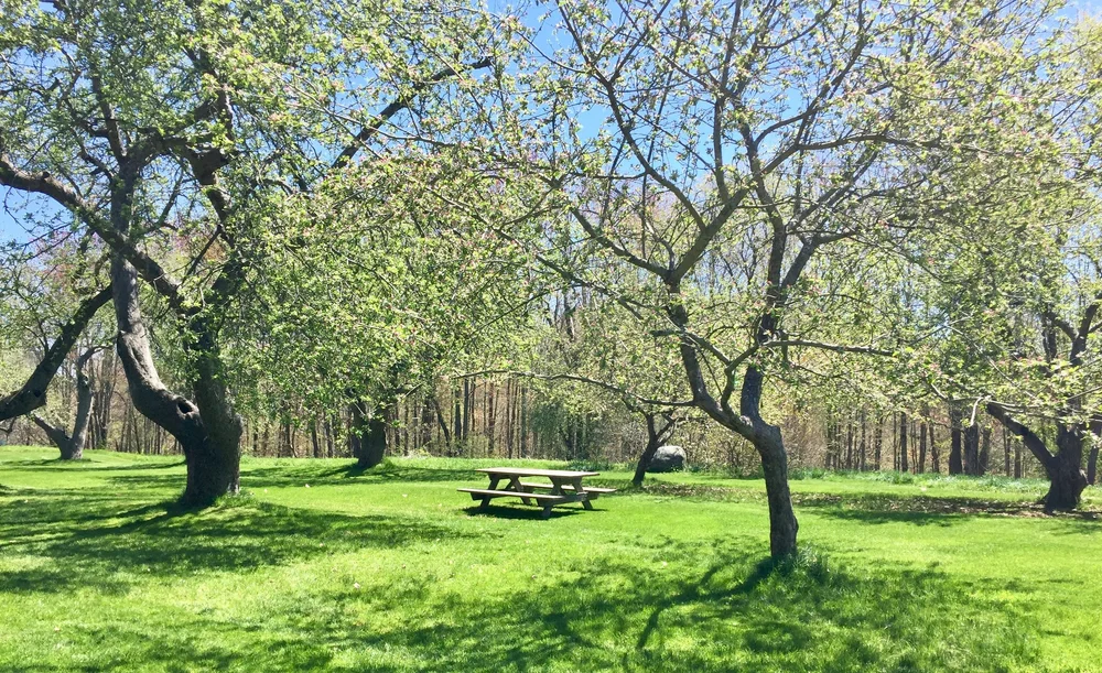 Best Family-Friendly Trails in Falmouth, Maine (Easy Walks & Scenic Hikes)