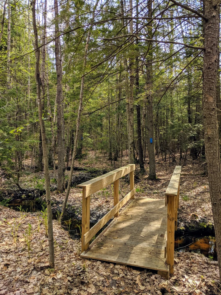 Best Family-Friendly Trails in Cumberland, Maine