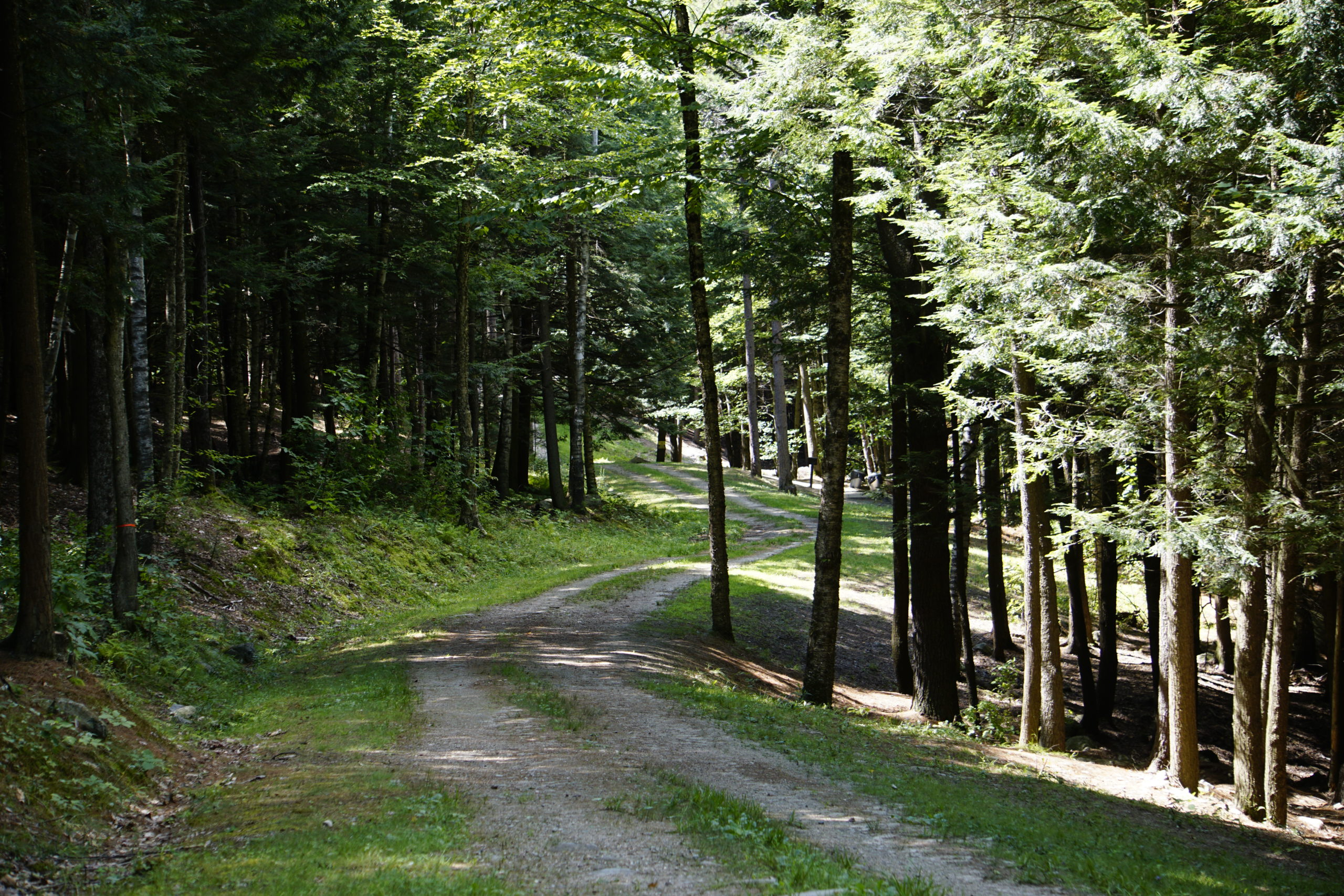 Family Friendly Trails in New Gloucester, ME