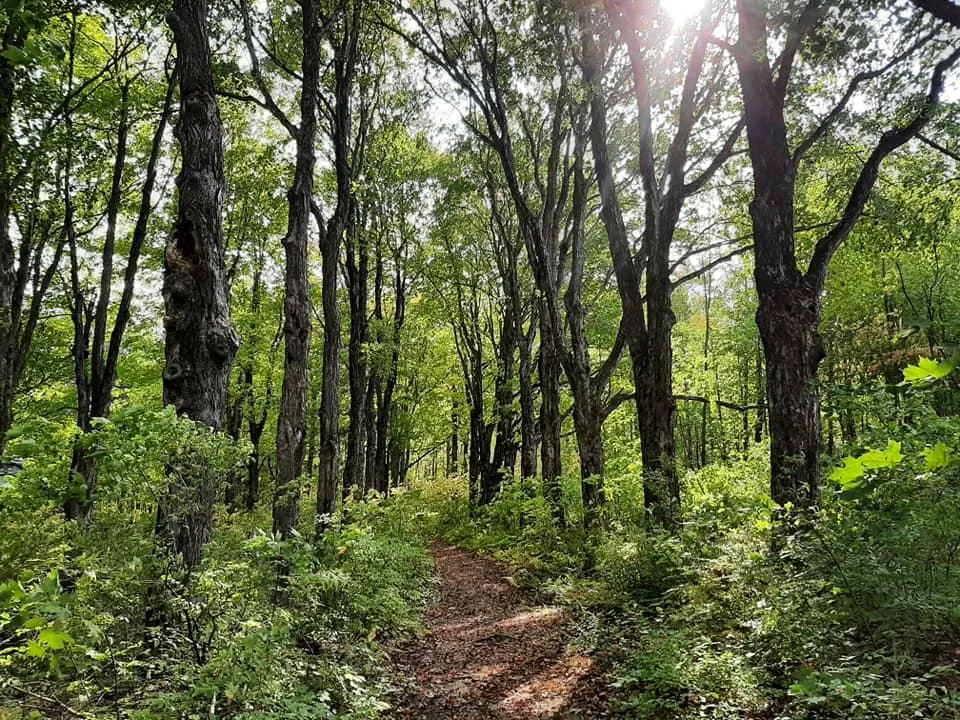 Family Friendly Trails in Poland, ME