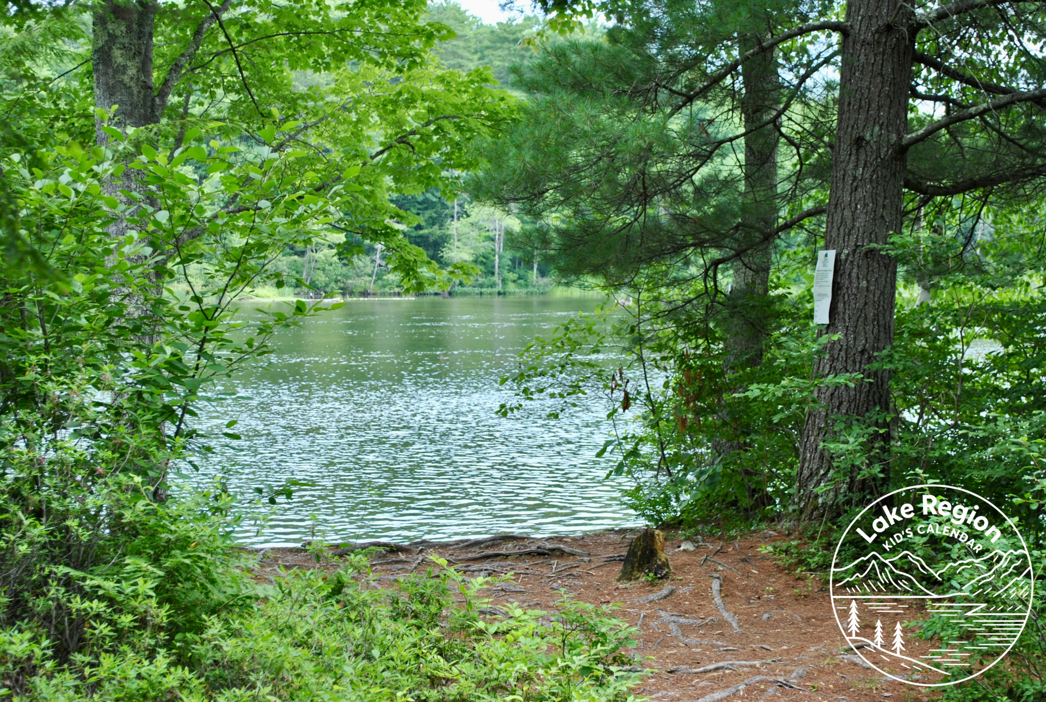 Cummings Preserve – Gorham, ME