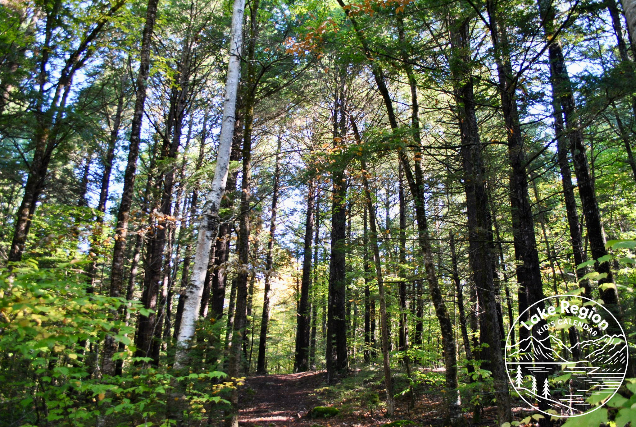 Chessey Preserve – Sebago, ME