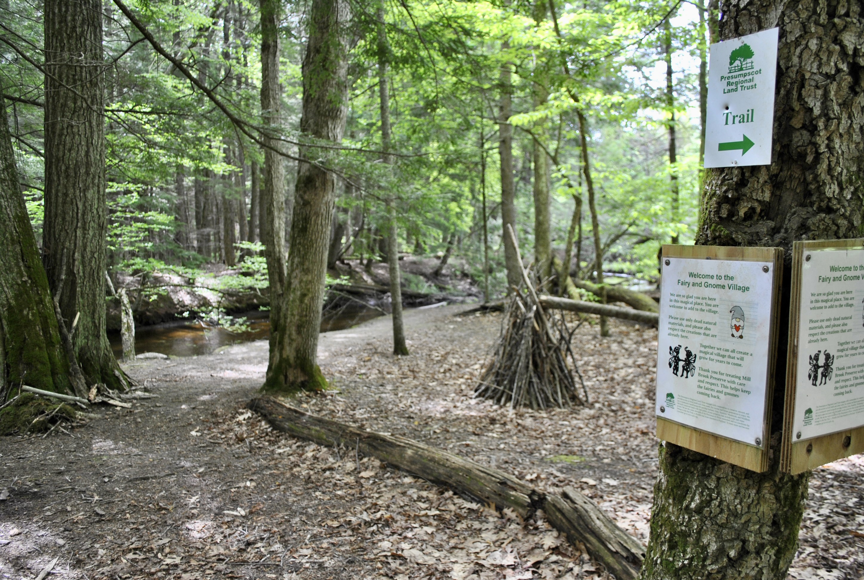 Trails With Fairy & Gnome Houses Near Sebago Lake